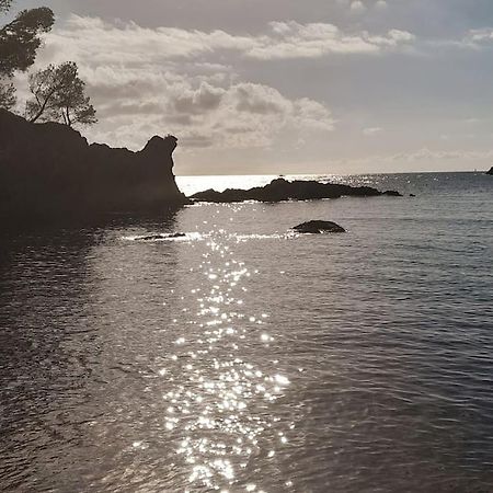 Charmant Studio Lumineux Avec Parking Prive Saint-Raphaël エクステリア 写真